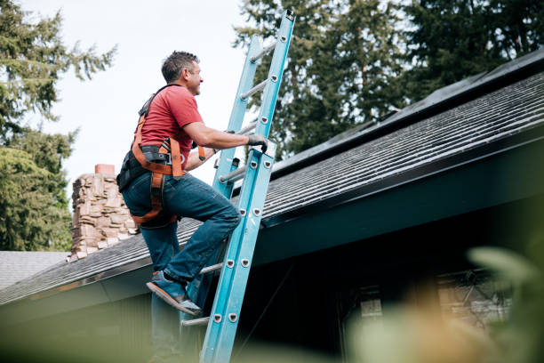 Best Roof Ventilation Installation  in Carson City, MI